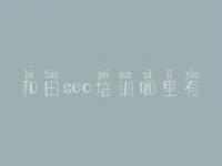 和田seo培训哪里有，网站的优化经验