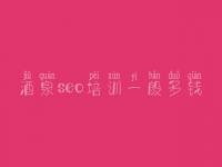 酒泉seo培训一般多钱，虫虫seo教程