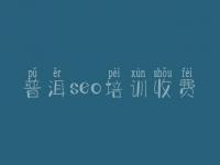 普洱seo培训收费_网站建设教程网站