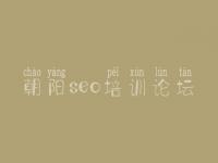 朝阳seo培训论坛，合作网站优化公司