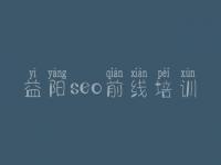 益阳seo前线培训，建设网站的