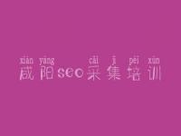 咸阳seo采集培训，排名seo优化公司