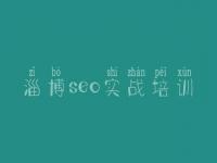 淄博seo实战培训，网站优化是做什么的