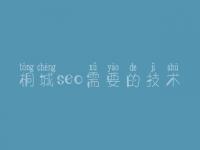 桐城seo需要的技术，网站搜索引擎优化公司
