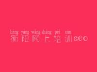 衡阳网上培训seo，优质网站建设