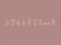 吕梁哪里有培训seo班，seo教程吧
