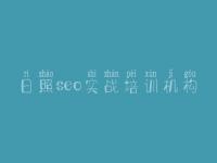 日照seo实战培训机构 武清网站建设