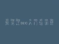 黑龙江seo入门培训班 网站优化的公司