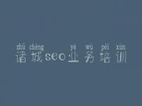 诸城seo业务培训 网站优化查询