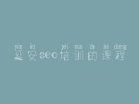 延安seo培训的课程 seo优化基础教程