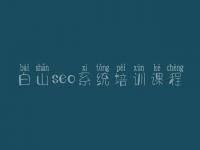 白山seo系统培训课程，网站建设怎么做