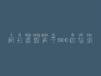 阿拉善盟关于seo的培训，seo网上教程