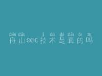 舟山seo技术是真的吗，手机免费网站建设