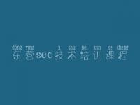 东营seo技术培训课程_seo实战教程