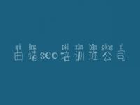 曲靖seo培训班公司 seo那个教程好