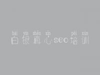 白银真心seo培训_专业网站建设网站