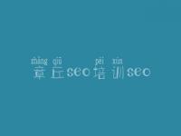 章丘seo培训seo，网站性能优化
