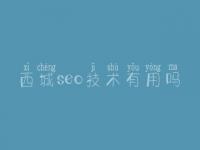 西城seo技术有用吗 网站页面建设