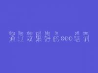 通辽效果好的seo培训_网站优化找谁