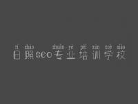 日照seo专业培训学校_优化关键词排名