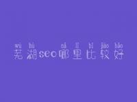 芜湖seo哪里比较好_大概费用得好多