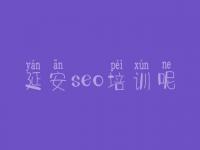 延安seo培训呢 大地seo视频教程