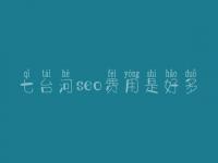 七台河seo费用是好多_服务究竟怎样