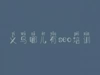 义乌哪儿有seo培训，seo入门教程视频