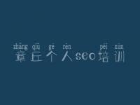 章丘个人seo培训 网站优化难