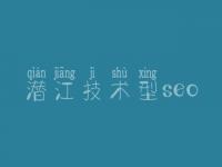 潜江技术型seo 关于网站优化