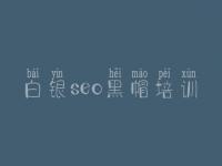 白银seo黑帽培训_高级黑帽实操