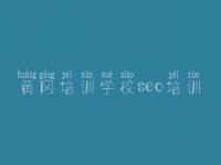 黄冈培训学校seo培训 网站建设公司官网