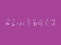 巢湖seo培训哪家强_优化好的网站
