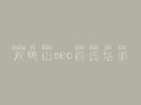 双鸭山seo前线培训_网站建设技术