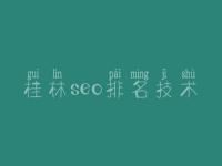 桂林seo排名技术_网站优化最什么