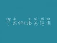 宁德seo服务培训_青海网站优化