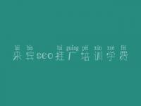 来宾seo推广培训学费，建设网站要多少钱
