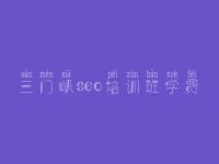 三门峡seo培训班学费 开发网站建设