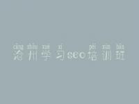 沧州学习seo培训班_平台网站建设方案