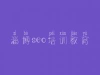 淄博seo培训教育_个人网站建设