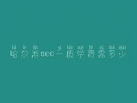 哈尔滨seo一般学费需多少_费用标准_服务