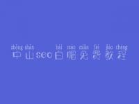 中山seo白帽免费教程_高级白帽实战