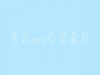玉林seo培训哪有 如何做网站建设