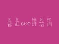 普洱seo班培训 seo网站推广教程