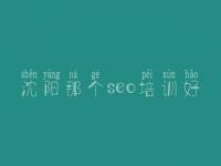 沈阳那个seo培训好 嘉定网站建设