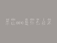 乐山seo是什么技术，网站优化的公司