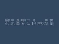 张北最专业的seo培训，网络推广seo优化公司
