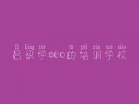 吕梁学seo的培训学校，自学seo教程