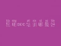 昆明seo培训哪最好，网站优化的优势