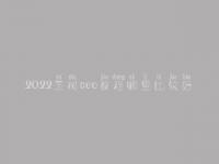 2022玉树seo教程哪里比较好